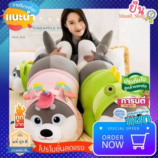 SALE ของใช้น่าซื้อ ตุ้กตา​หมอน​ผ้าห่ม​น้องหมาใส่เสือ