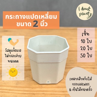 กระถาง 2 นิ้ว สำหรับ กระบองเพชร ต้นไม้ขนาดเล็ก แปดเหลี่ยม | Cactus Small Plant Pot / Planter Octagon Shape 2 Inch