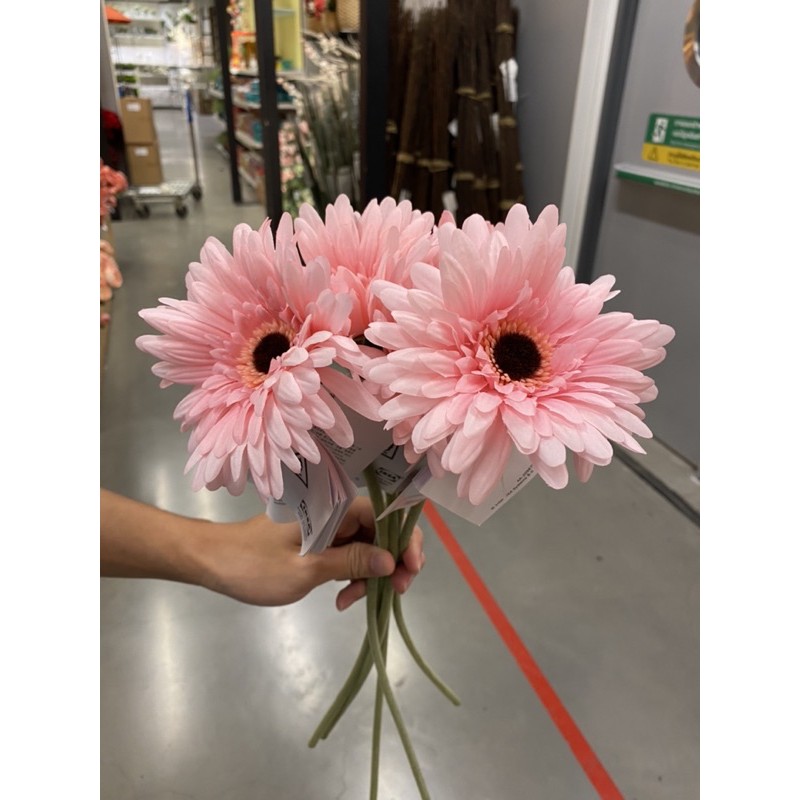 ดอกเยอบีร่า Gerbera IKEA SMYCKA ดอกไม้ประดิษฐ์, เยอบีรา, แดง, 50 ซม. มีเก็บเงินปลายทาง ส่งไว