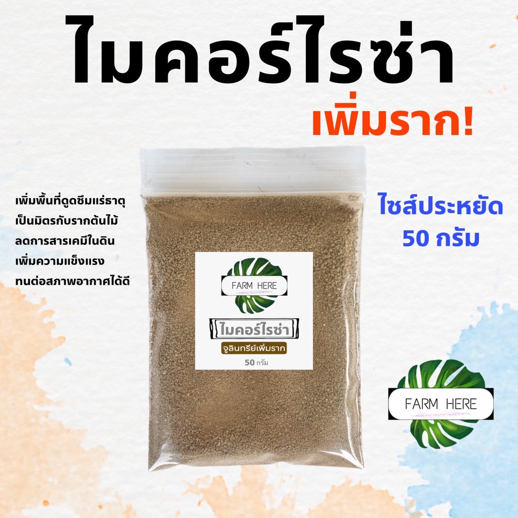 ไมคอร์ไรซา จูลินทรีย์ระเบิดราก ต้นไม้โตไว เหมาะไม้มงคล สมุนไพร ไม้ฟอกอากาศ ปุ๋ย ธรรมชาติ