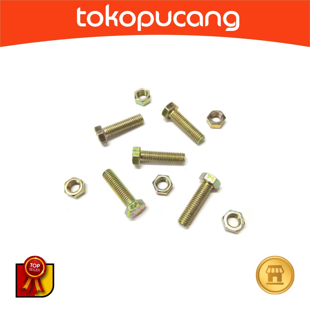 สลักเกลียวและถั่ว 4.6 M8 x 30 (B/N 4.6 M 08 x 30) – P1.25 สีเหลือง