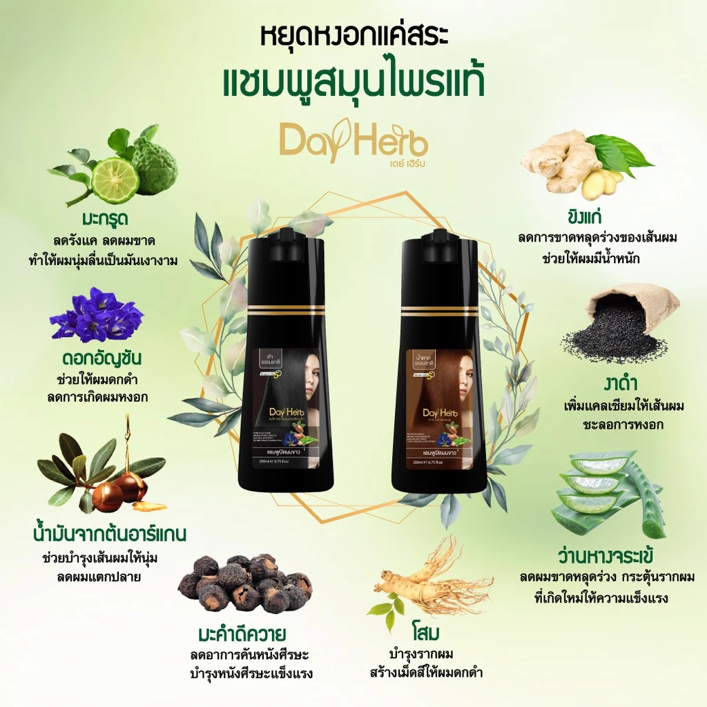 DayHerb  แชมพู ปิดผมขาว สมุนไพร ปิดหงอก ลดหงอก ใน 5 นาที thumbnail 8