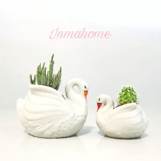 🌿 กระถางหงส์ กระถางเซรามิก 5นิ้ว/6.5นิ้ว l White swan Flower Pots l กระถาง เซรามิก กระถางต้นไม้