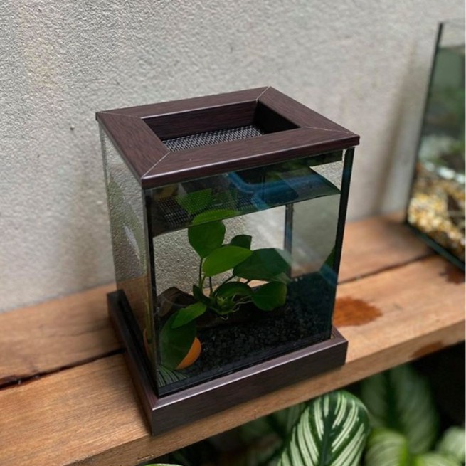 Betta Corner Set ตู้ปลาขนาด 4*5*6 “ ฐานสีโอ็คดำ พร้อมของตกแต่งในตู้ หิน ต้นไม้ผูกขอน + โอ่งจิ้ว