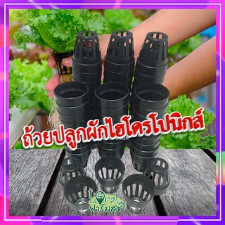 ถ้วยปลูกผักไฮโดรโปนิกส์ 🍁 (แพ็ค 20 ชิ้น) ถ้วยสำหรับใส่ฟองน้ำปลูกผัก ถ้วยปลูกผักไฮโดร คุณภาพดีใช้ซ้ำได้ สีดำ