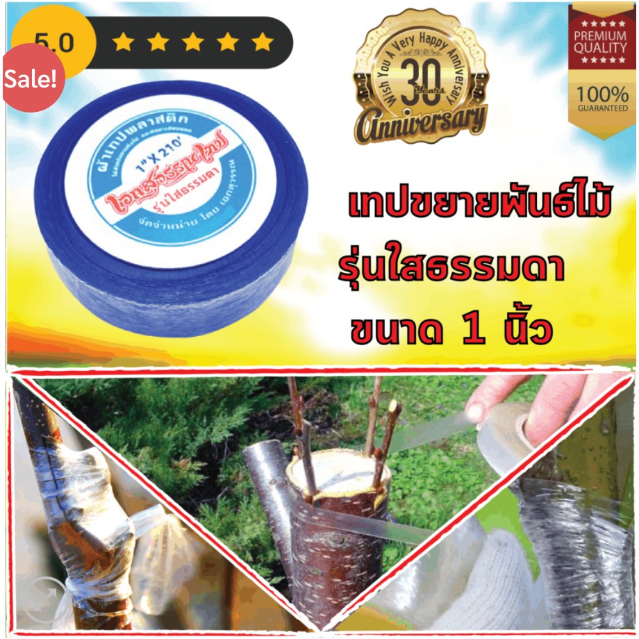 Best saller เทปพันกิ่งไม้อันดับ 1 ชองประเทศไทย เอกสุวรรณ รุ่นใส ขนาด 1