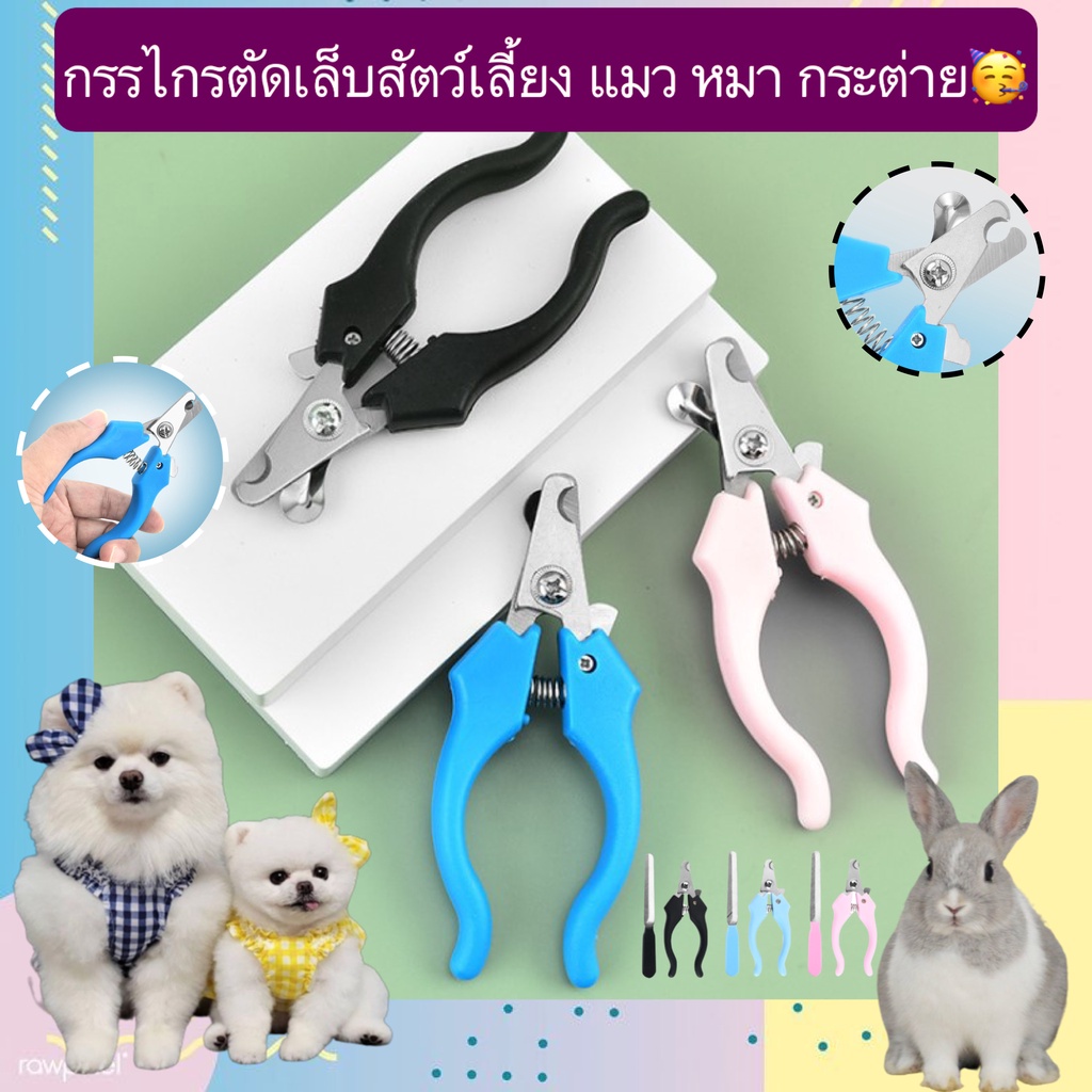 PP-384 กรรไกรตัดเล็บสำหรับสัตว์เลี้ยง กรรไกรตัดเล็บแมว หมา กระต่าย พร้อมตะไบลับเล็บ ราคาคุ้ม พร้อมส่ง!