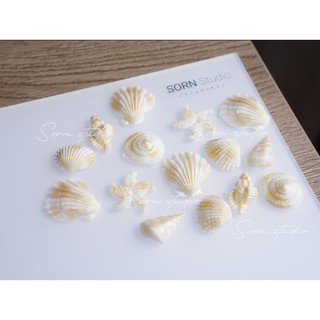 Sorn Studio ฟองดอง "เปลือกหอย" (15 ชิ้น คละลาย) 🐚 🌊 น้ำตาลปั้นแต่งเค้ก คัพเค้ก (Edible Cake Toppers)