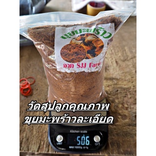 ขุยมะพร้าว วัสดุปลูกคุณภาพ ขุยมะพร้าวสับละเอียด ขายใยมะพร้าวราคาถูก ขุยมะพร้าวราคาถูก สินค้าพร้อมส่ง