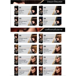 #ดิฟโซ่ #แฮร์ #คัลเลอร์ #ครีมเปลี่ยนสีผม #DIPSO #HAIR #COLOR 110มล S01–S18