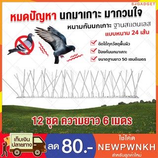 หนามกันนก ฐาน Stainless ความยาว 50 cm แบบ 24 เส้น (x12ชุด) Bird Spike หนามไล่นก