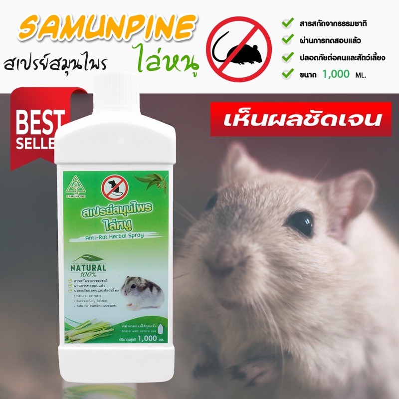 ‼️ไล่หนู ‼️ SAMUNPINE น้ำยาไล่หนู ป้องกันหนู ใช้ในห้องเครื่องรถยนต์ได้ สารสกัดธรรมชาติ ขนาด 1000 ml.