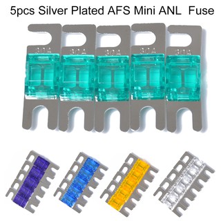 ฟิวส์ 30A/40A/60A/80A/100A นิกเกิลขนาดเล็ก 5 ชิ้น