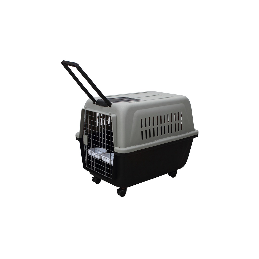 Petheng Pet Carrier XL กรงหิ้ว กล่องใส่สัตว์เลี้ยง กรงเดินทาง *** ไม่ระบุสี*** สุนัข แมว กระต่าย ขนาด 81 cm (L) x 57 cm