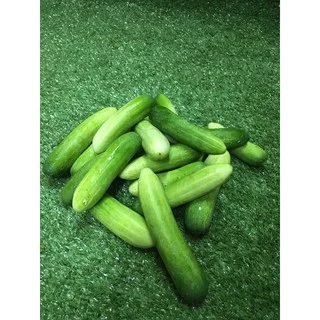 แตงกวาสด 🥒- ผักผลไม้สด