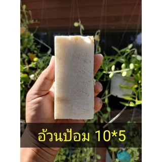 **ส่งฟรี**ขนมปังปิ้งเสียบไม้​ กล่องละ 180 ชิ้น​ ใช้กล่องหนากันกระแทก