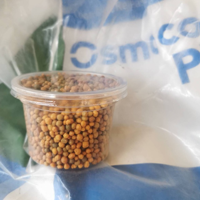 ปุ๋ย ออสโมโค้ท สูตรเร่งดอก 12-25-6 100กรัม