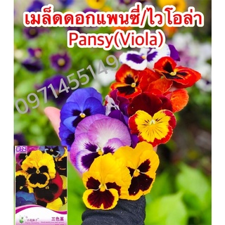 เมล็ดดอกแพนซี่/ไวโอล่า/ดอกหน้าแมว 50 เมล็ด Pansy(Viola) เมล็ดนำเข้า