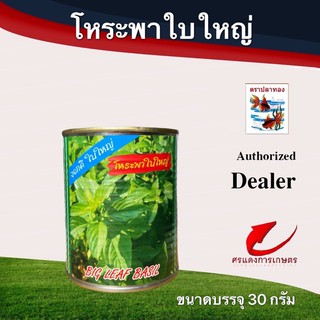 เมล็ดพันธุ์ โหระพาปลาทอง 30 g