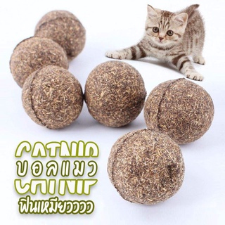 ของเล่นแมว บอลแมว กัญชาบอล Catnip Ball ลูกบอลแคทนิป 35mm SE4136