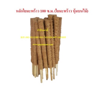 (3-5อัน) เสาใยมะพร้าว ยาว 100ซม. หลักไม้เลื้อยใยมะพร้าว เสาไม้เลื้อย เสาต้นไม้ หลักมะพร้าว หลักใยมะพร้าว หลักไม้เลื้อย