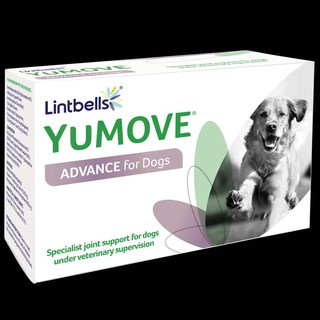 Lintbell Yumove advance 360 Dog แพ็คเกจใหม่ (แบ่งขาย) บรรจุแผงละ 20 เม็ด (หมดอายุ01/2024) อาหารเสริมบำรุงข้อ กระดูก