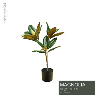 Yulan Magnolia ต้นแม็กโนเลีย 80CM ต้นไม้ปลอมเกรดพรีเมี่ยม มาดามขจี ตกแต่งบ้าน  Premium Artificial Plant