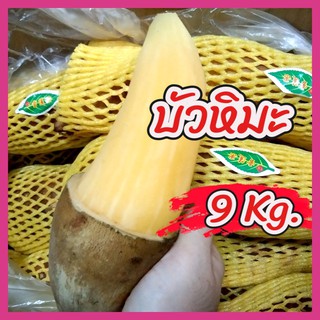 บัวหิมะ บัวหิมะสด บัวหิมะผลไม้ บัวหิมะสดยกลัง 1ลัง 9 kg