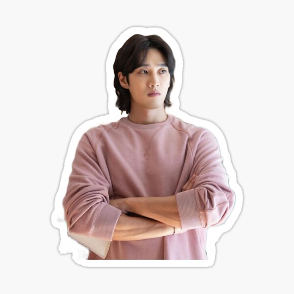 สติ๊กเกอร์ สติ๊กเกอร์กันน้ำ สติ๊กเกอร์ติดรถ แม๊กเนท แม่เหล็กติดตู้เย็น ตัวติดตู้เย็น Ahn Bo-hyun อัน