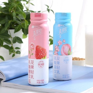 蒙牛真果粒花果轻乳 Mengniu Yogurt Drink นมโยเกิร์ต มี 2 รส ขวดสีฟ้าและสีขมพู ขนาด 230ml