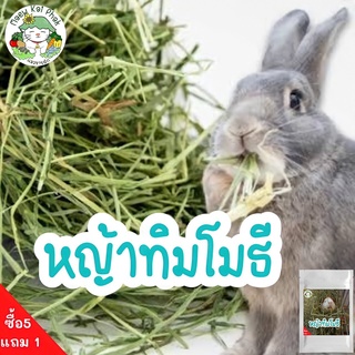 เมล็ดพันธุ์ หญ้าทิมโมธี  เมล็ด Timothy Grass seeds เมล็ดพันธุ์แท้ นำเข้าจากต่างประเทศ 50 เมล็ด (ไม่ใช่พืชที่มีชีวิต)