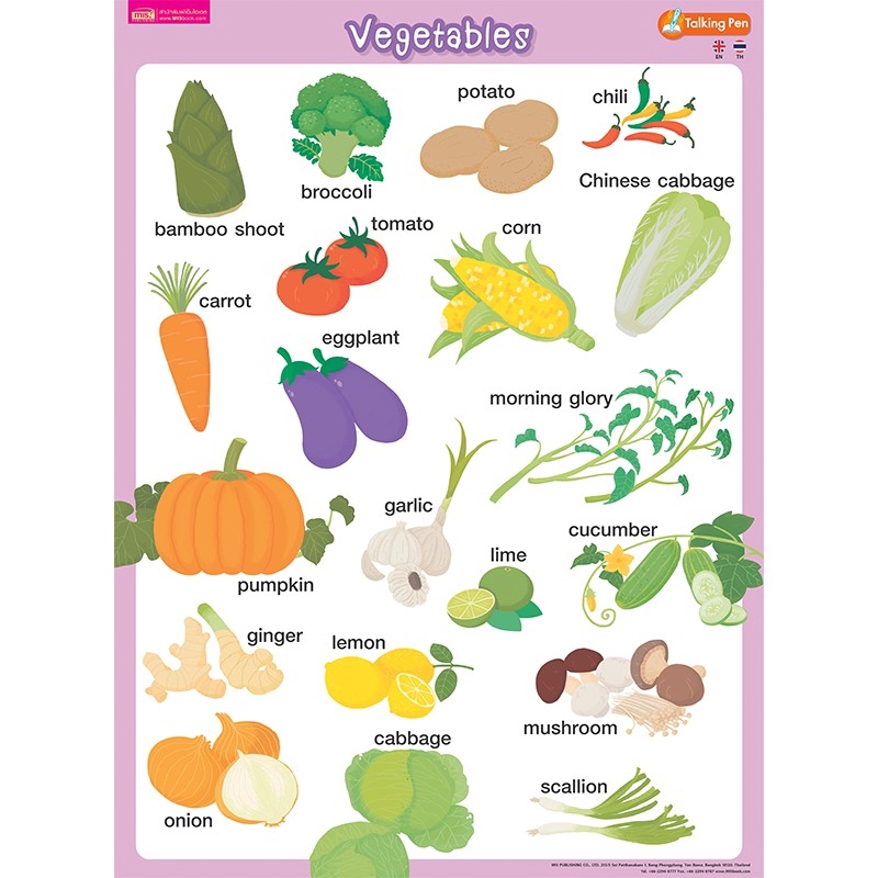 MISBOOK โปสเตอร์พลาสติก Vegetables (ใช้กับ Talking Pen)