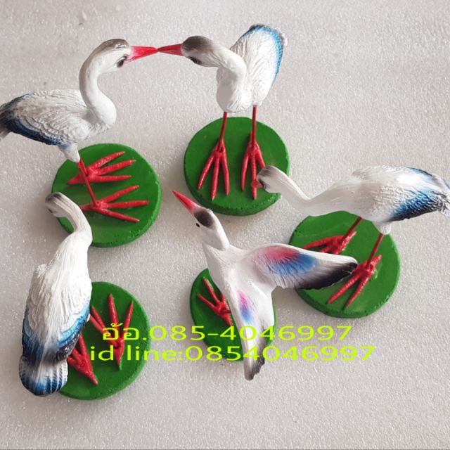 My Image 22