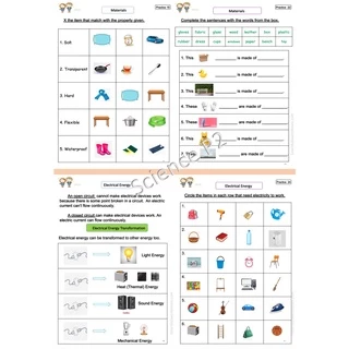 ใบงาน Science ป.2 EP/MEP/MSEP | ครบ 2 เทอม พิมพ์สีทั้งเล่ม 83 หน้า พร้อมสรุป+เฉลย