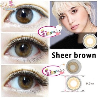 sheer brown by TATOTO Contact Lenses บิ๊กอาย #265