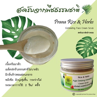 [สครับผิวหน้า ข้าวหอมสมุนไพร] ☘️Rice &amp; Herbs Cream Scrub (150g.)