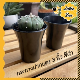 [ กระถางปากแตรเล็ก รุ่นหนา ] [พร้อมส่ง] กระถางปากแตร 3 นิ้ว (7.5ซม.)  กระถางพลาสติก กระถางทรงสูง กระถางต้น