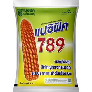 เมล็ดข้าวโพดเลี้ยงสัตว์ แปซิฟิค 789 (3 หุน) (ขนาด 5 กก.)