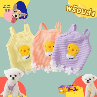 ชุดสุนัข/แมว ชุดสายเดี่ยว 🐥💕เสียวกรุบ ✨พร้อมส่ง✨