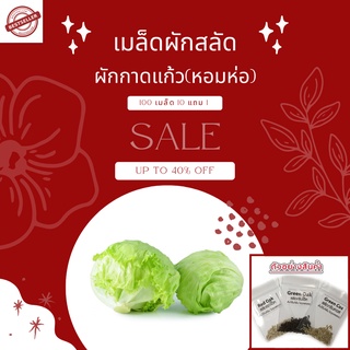 🌱เมล็ดผักสลัดอินทรีย์ ผักกาดแก้ว 100 เมล็ด 10แถม1🌱อัตราการงอกสูง มีคู่มือการปลูกทุกซอง เมล็ดพันธุ์ เมล็ดพันธุ์ผัก