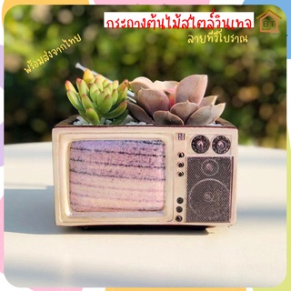 [BT]กระถางต้นไม้ กระถางแคคตัส ลายทีวี กระถางน่ารักๆ กระถางวินเทจ (Vintage) กระถางต้นไม้เซรามิค