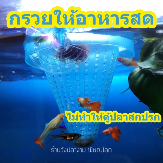 กรวยใส่หนอนแดง ไรแดง ช่วยให้หนอนแดงไม่ฟุ้งกระจายเต็มตู้ ปลากินไม่หมด นำเศษที่เหลือไปทิ้งได้เลย ใช้งานง่าย ทนทาน