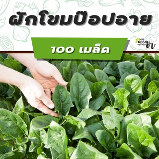 ผักโขม ( เมล็ดพันธุ์ ) หลากหลายชนิด