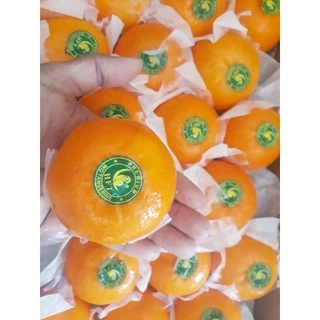 ส้มนกแก้ว🍊🍊🍊ฤดูกาลใหม่ SIZE M,L,XL = 1 Kg ราคาดี. เกรดพรีเมี่ยม