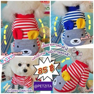 🇹🇭พร้อมส่ง🇹🇭🔵♥️🐻 เสื้อลายทางผ้าสำลี แต่งดีเทล ลาย พี่หมีเทาหูสองสี for pet สุนัข หมา แมว