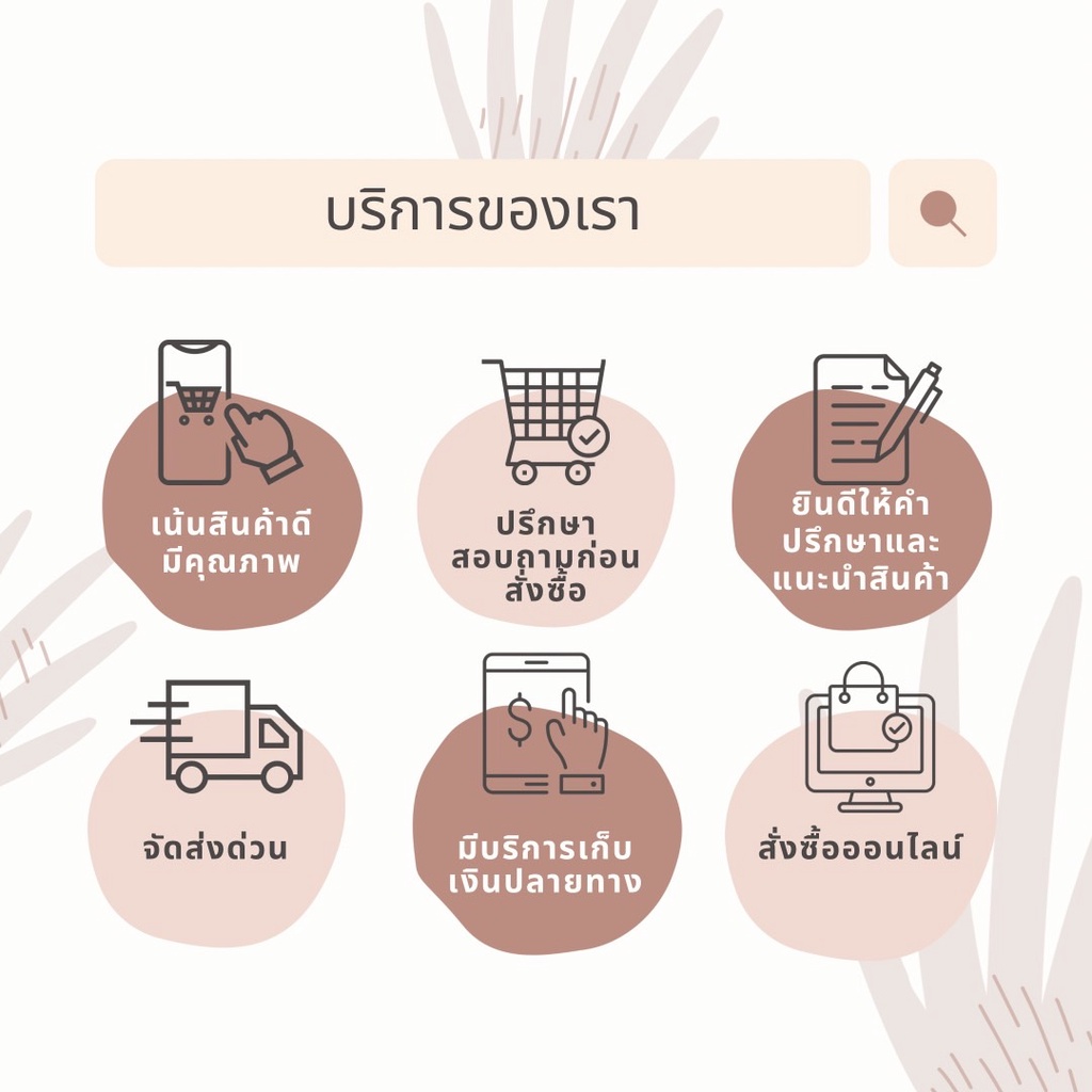 ซีเนอกอน 2000 -สารกระตุ้นการเจริญเติบโตของพืช-ขนาดบรรจุ 1 รูปที่ 2