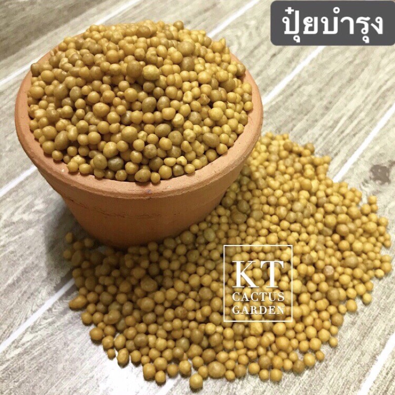 ปุ๋ยบำรุง ต้นและใบ Osmocote ออสโมโค้ท สำหรับแคคตัส,ไม้อวบน้ำทุกสายพันธุ์ ไม้ดอก ไม้ประดับ