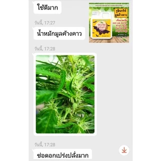 จุลินทรีย์ มูลค้างคาว 100% ขนาด 1 ลิตร น้ำหมักมูลค้างคาว เข้มข้น คุณภาพสูง ตา ดอก ผล ดก น้ำหมัก ชีวภาพ ปุ๋ยน้ำ อีเอ็ม em