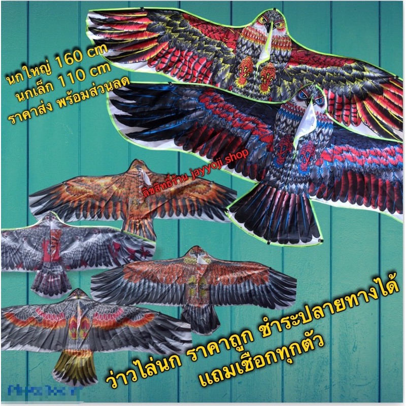ว่าว ว่าวนกอินทรีย์ ว่าวนก นกใส่ถ่าน เลือกสีได้ ฟรีเชือก🌈ถูกสุดฟรีเชือกมูลค่า 12 บาท ไล่นกพิราบ