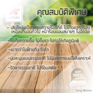 หมอนสามเหลี่ยมติดเบาะรองนั่ง 1พับ One Fold Thai Cushion, 32x20x3 inches (LxWxH), 100 % Natural Kapok Filling, Foldable